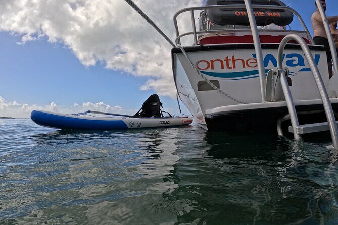 Vieques All-Inclusive: Swim with Turtles & Enjoy Pristine Beaches - Practical Tips for Your Trip
