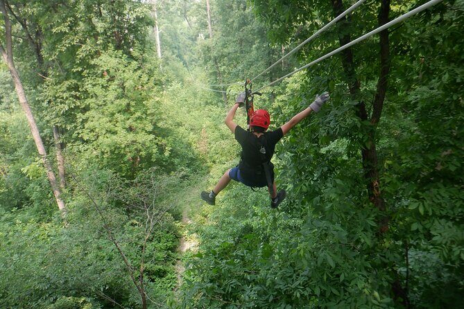 Zipline Adventure in Galena, Illinois - Who Will Love This Tour?